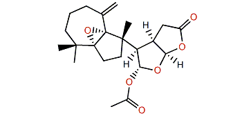 5,9-Epoxydendrillolide A